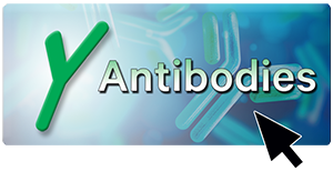 Antibody Search Button